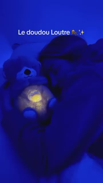 Charger la vidéo : 